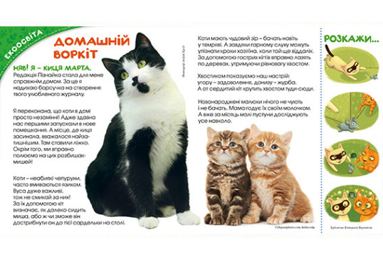 "Пізнайко від 2 до 6" № 3, 2018. "Моя оселя"