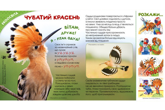 "Пізнайко від 2 до 6" № 4, 2017. "Крилато-пернатий"