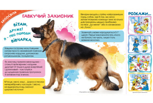 "Пізнайко від 2 до 6" № 5, 2017. "Про безпеку"